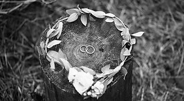 Wedding Rings and Bridal Crown