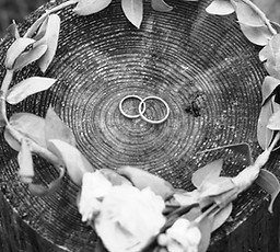 Wedding Rings and Bridal Crown