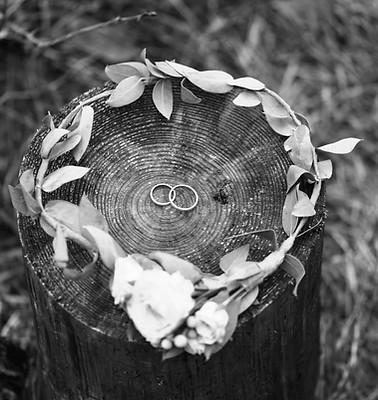 Wedding Rings and Bridal Crown