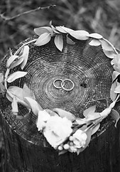 Anillos de boda y corona nupcial