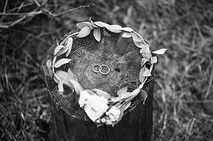 Wedding Rings and Bridal Crown