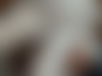 Schimmelreiter's Attila