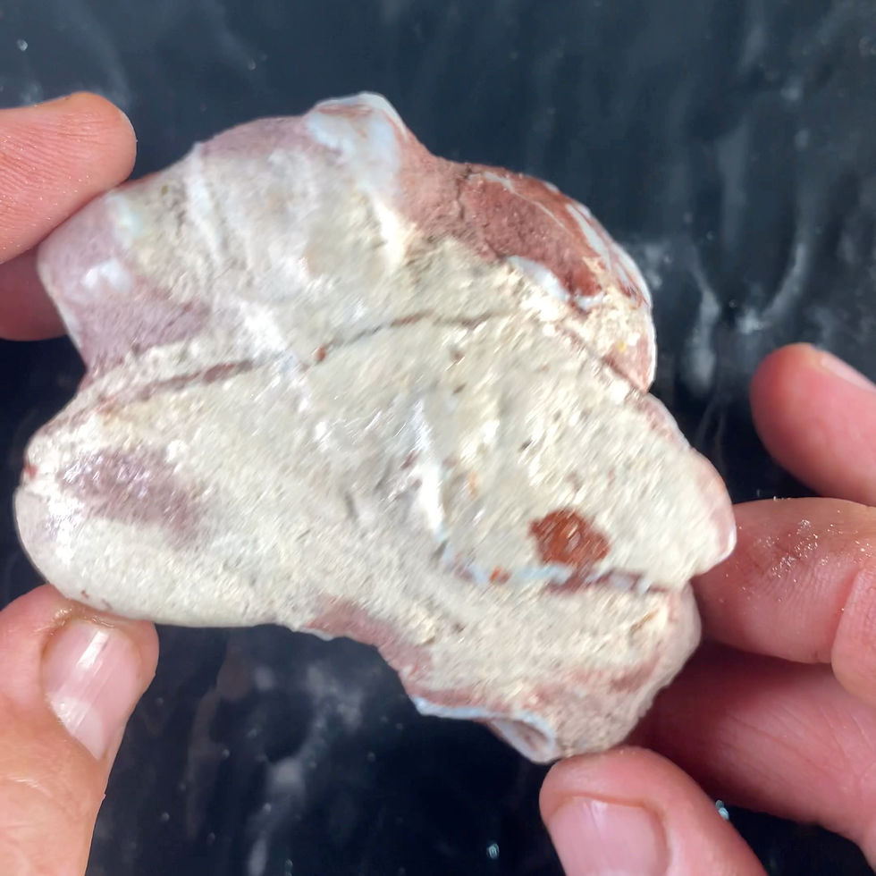 サムネイル： Opal Fossil Cluster $250