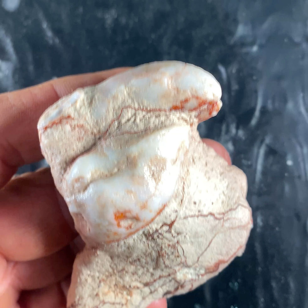 Thumbnail: Opal Fossil Cluster $150