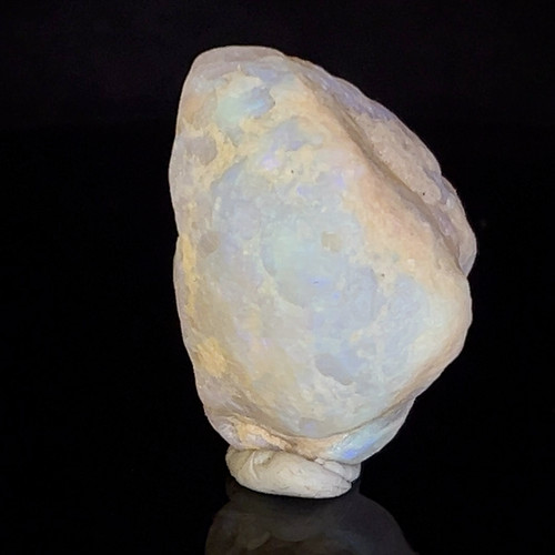 Opalised Pippi Shell fossil $150 | Unearthed Aust Opal