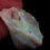サムネイル： Rough Semi Crystal Opal