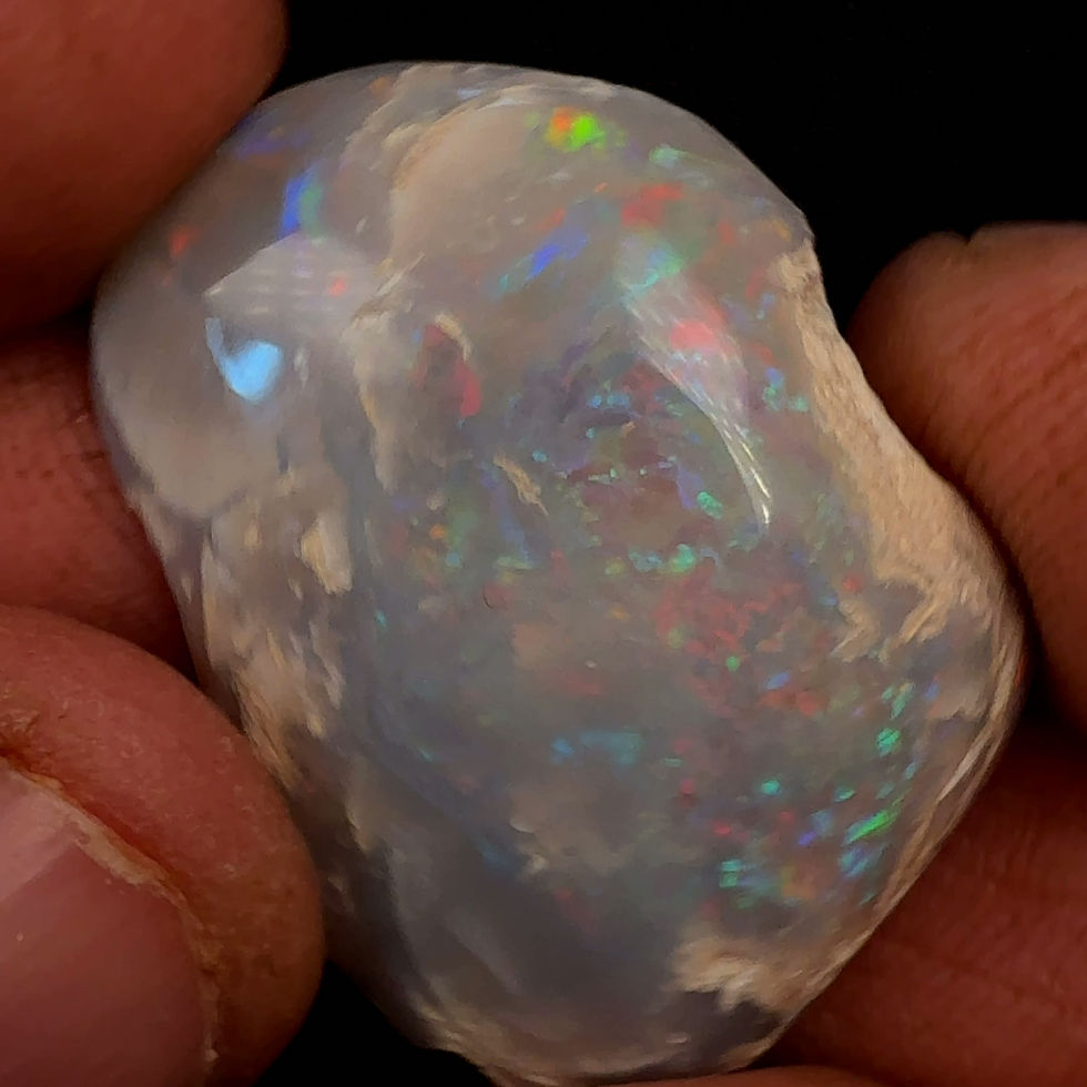 Thumbnail: Polished Opalised Shell