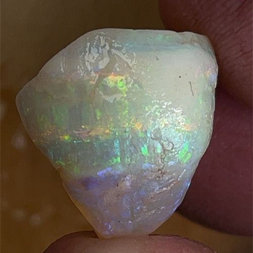 Rough Skin Shell $200 | Unearthed Aust Opal