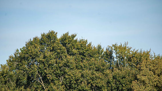 310A8458.jpg