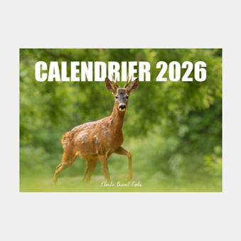 Capture d’écran 2025-12-09 212531_edited.jpg