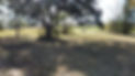 DJI_0310.JPG