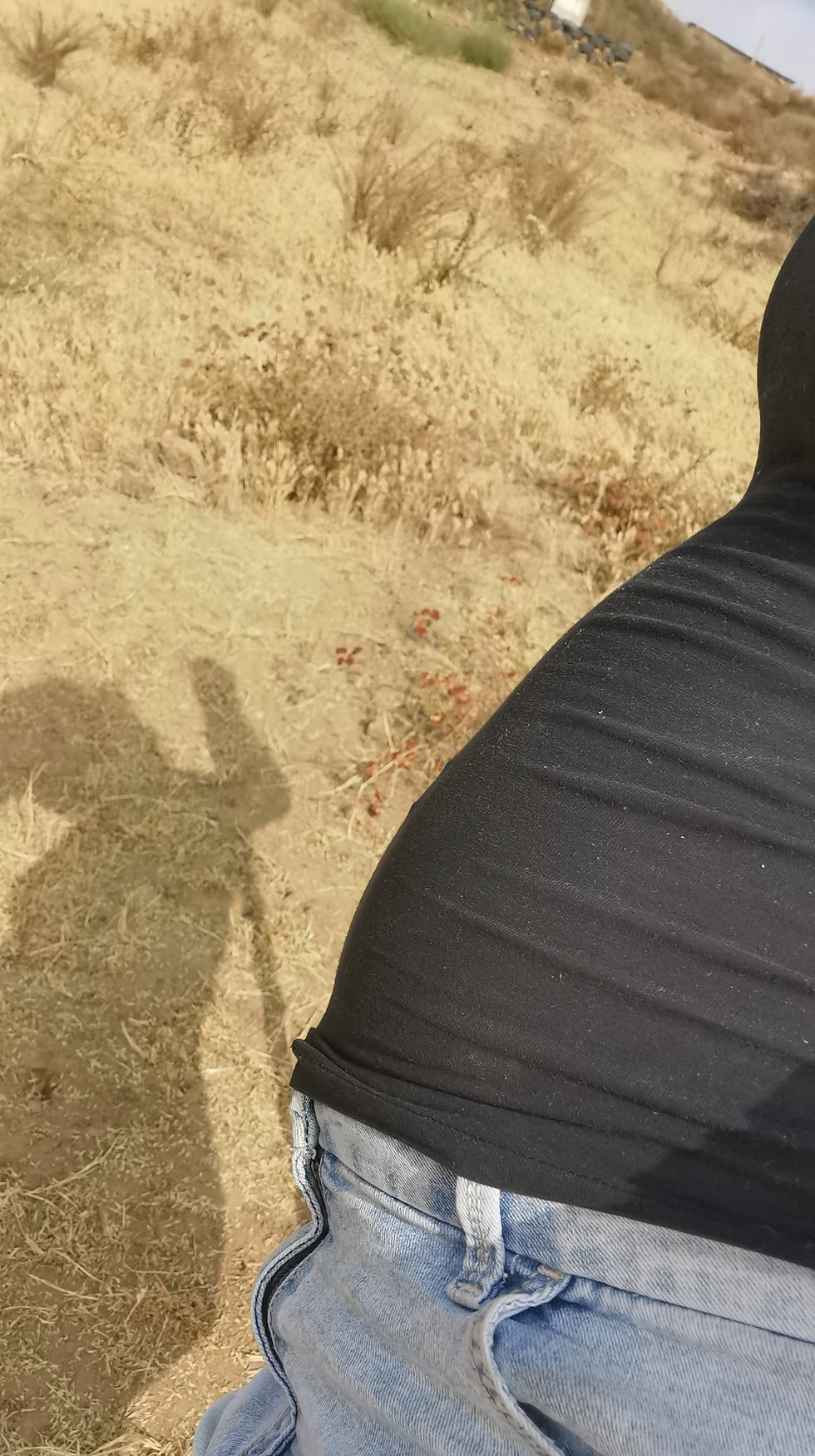 My pregnant stomach