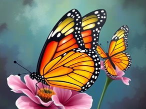 Cuento: Mariposas