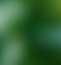 L'Ère Verte Recrute : Guide Essentiel des Métiers d'Aujourd'hui et de Demain