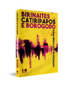 3D_BIRINAITES copiar