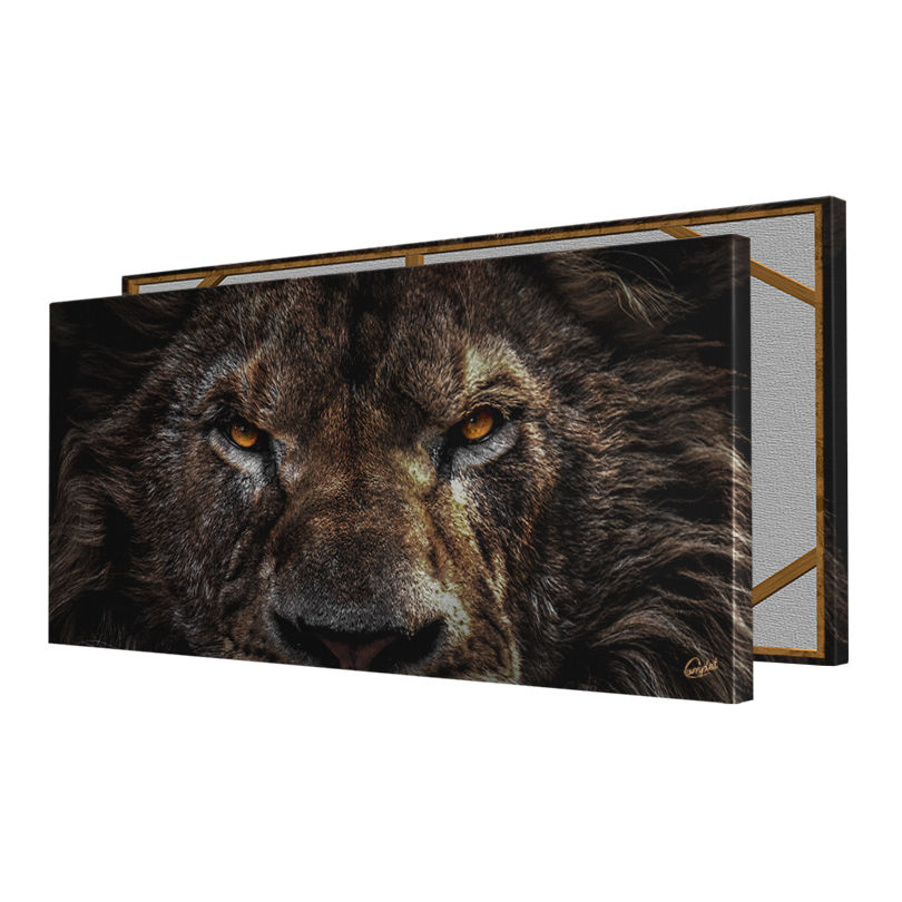 Miniatura: Quadro Olhar de Um Leão