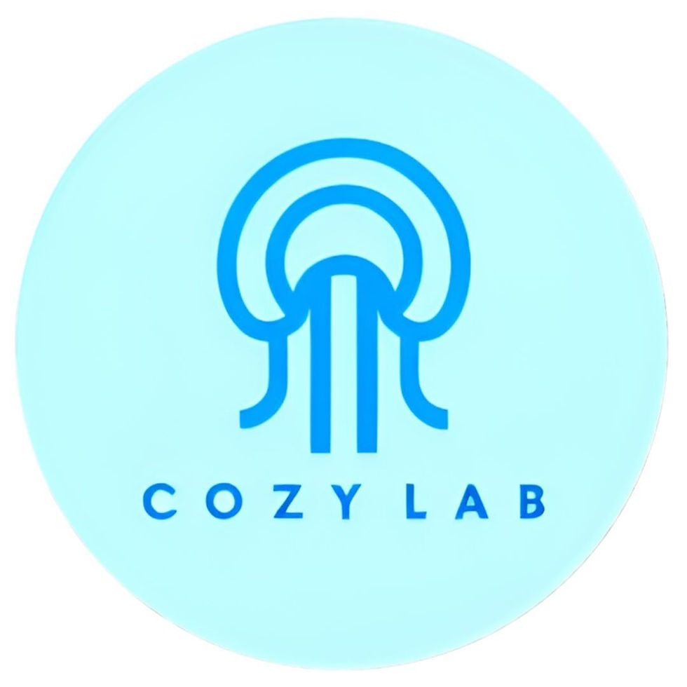 cozy labs