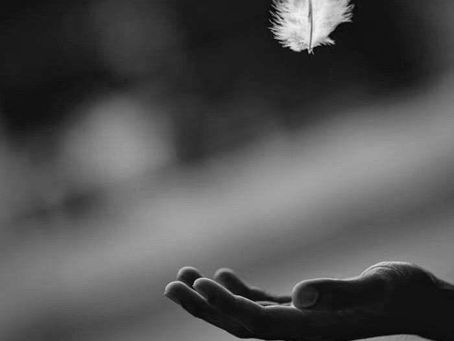 Image noir et blanc : plume blanche flottant au-dessus d'une main ouverte. Symbole de légèreté, de douceur, d'au revoir, de passage et d'accompagnement spirituel de fin de vie. Métaphore pour la présence apaisée et le dernier souffle. Convient pour le blog sur la thanadoula. Photo Pinterest