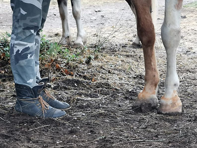 Sur un sol de terre humide et de foin, en gros plan et au premier plan, les jambes d'une femme, chaussures montantes grises, pantalon militaire et les jambes d'un cheval pie, une jambe marron et une blanche.