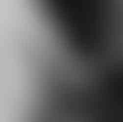 Photo noir et blanc. A gauche on devine le corps d'un cheval blanc avec quelques tâches plus foncées mais pas noires. Sur l'épaule du cheval, une main est posée à plat. On voit l'avant bas de la personne et une partie de son buste. Elle porte une veste polaire gris clair à manches longues. On ne peut définir le genre de cette personne. L'avant bras d'une autre personne est posé sur le dessus de la première personne. Une manche longue noire, au poignet des bracelets, quatre peut-être de perles rondes, certaines sont claires d'autres plus foncées. Juste au niveau du poignet de la première personne, la main, aux ongles vernis : le pouce est posé sur le dessus de la main, vers l'extérieur et l'index de l'autre côté au-dessus du pouce.