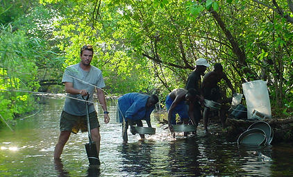 DV SS sampling (1).jpg