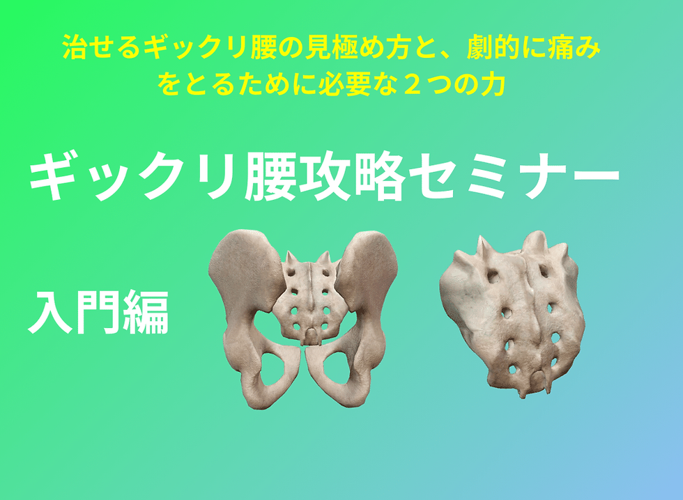 LP用スライド (8).png