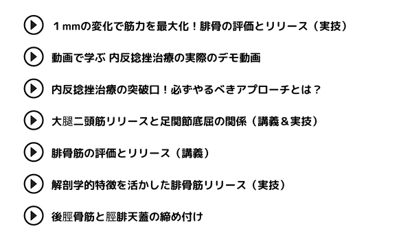 足関節Ⅱ キービジュアル (17).png