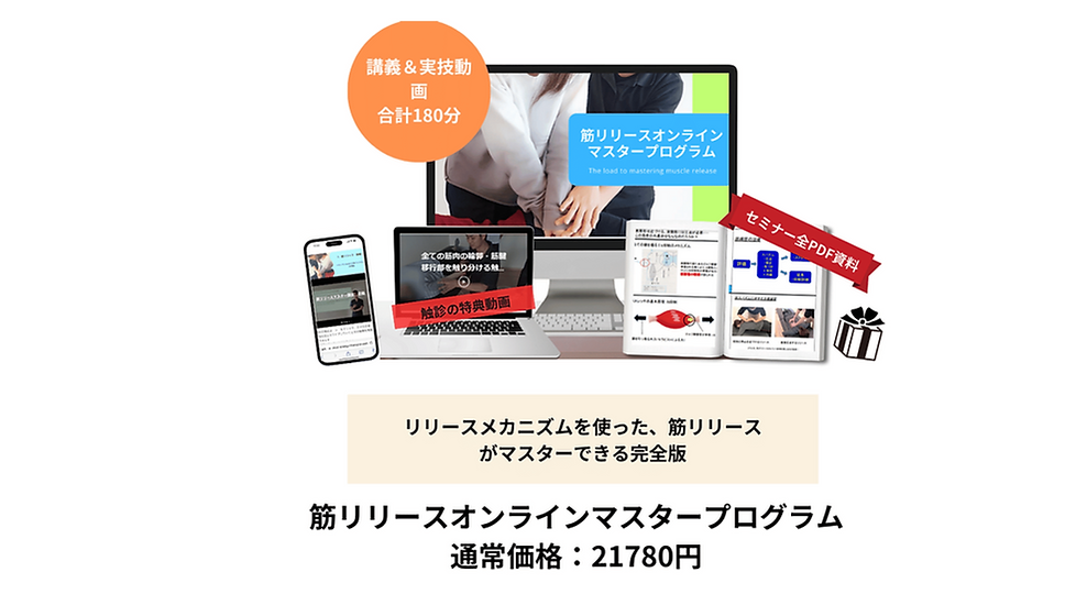 筋リリース 反射を使ったメカニズムのコピー (3).png