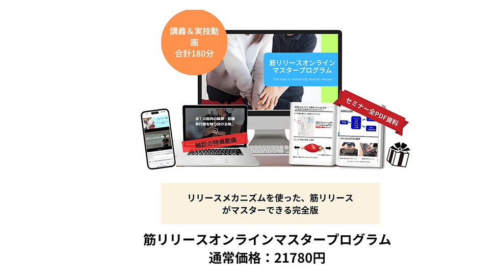 筋リリース 反射を使ったメカニズムのコピー (3).png