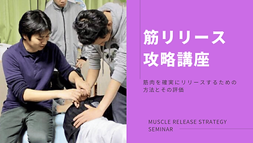筋リリース 反射を使ったメカニズムのコピー.png
