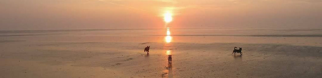 IMG_20220129_123909_edited.jpg