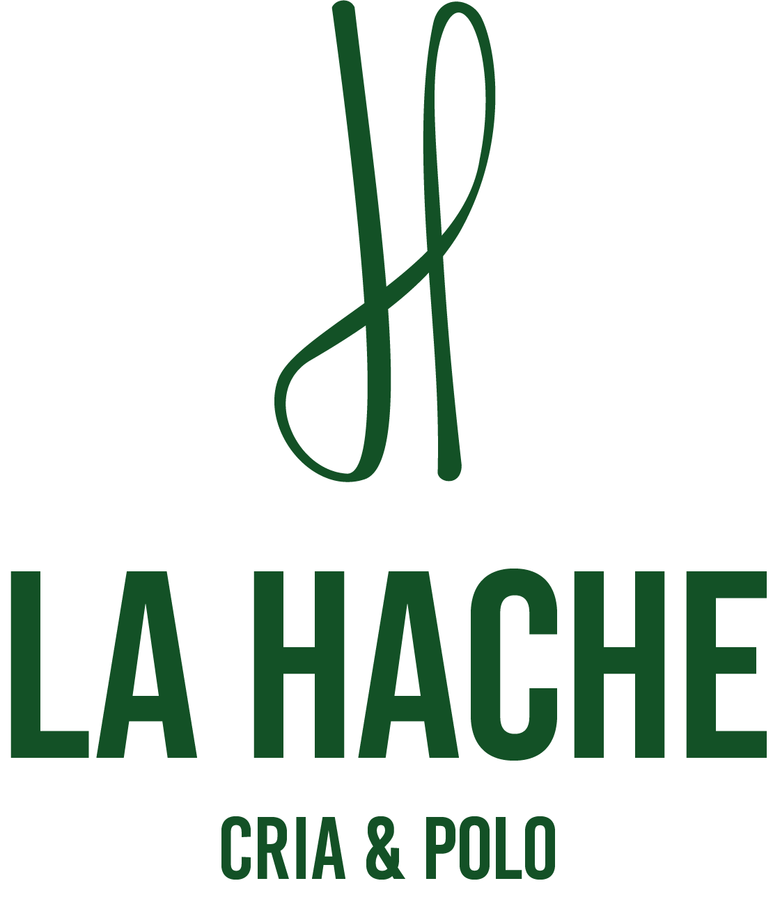 Con quienes crecemos Cada recorrido es distinto, pero compartimos la misma pasión por explorar. Estas alianzas reflejan valores en común: calidad, respeto por la naturaleza y espíritu de aventura. Gracias a ellas podemos crecer, inspirarnos y llegar más lejos, juntos.