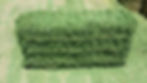 Thumbnail: Alfalfa