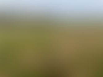 Depression: More Than Just Feeling Sad