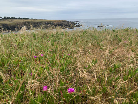Depression: More Than Just Feeling Sad