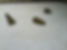 117F7078-0B58-4637-8B17-5EAAEDDB7C63.jpeg