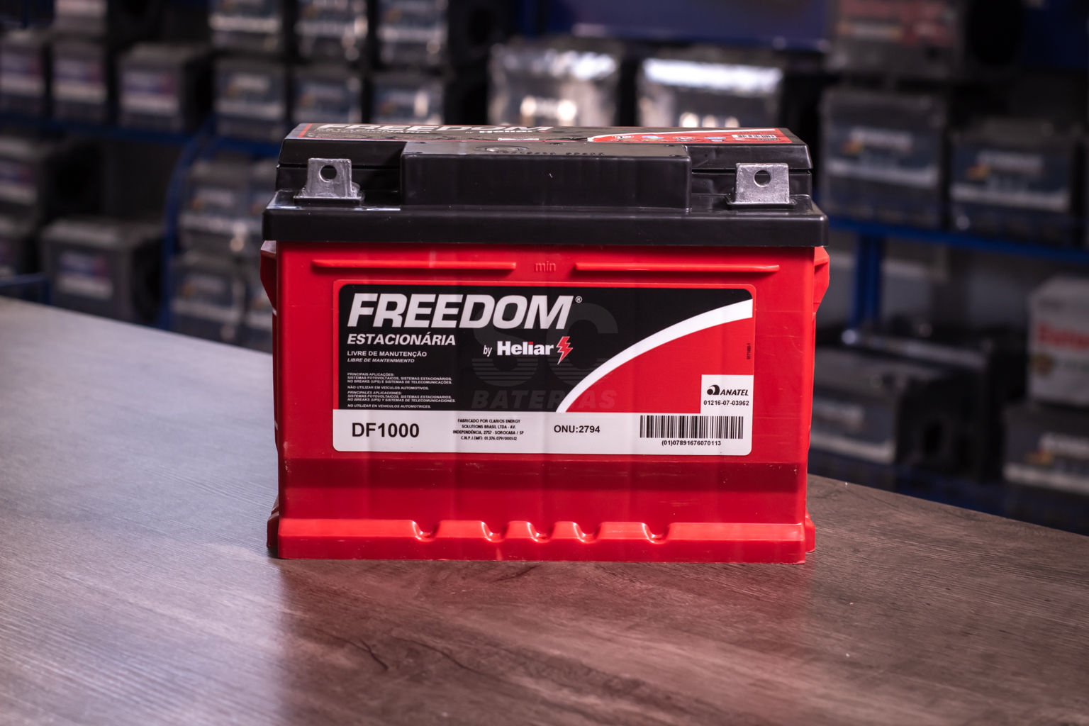 BATERIA ESTACIONARIA FREEDOM DF1000