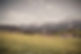 AdobeStock_264780478_edited_edited.jpg