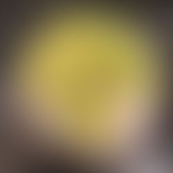 Easy Chicken Quesadilla Recipe