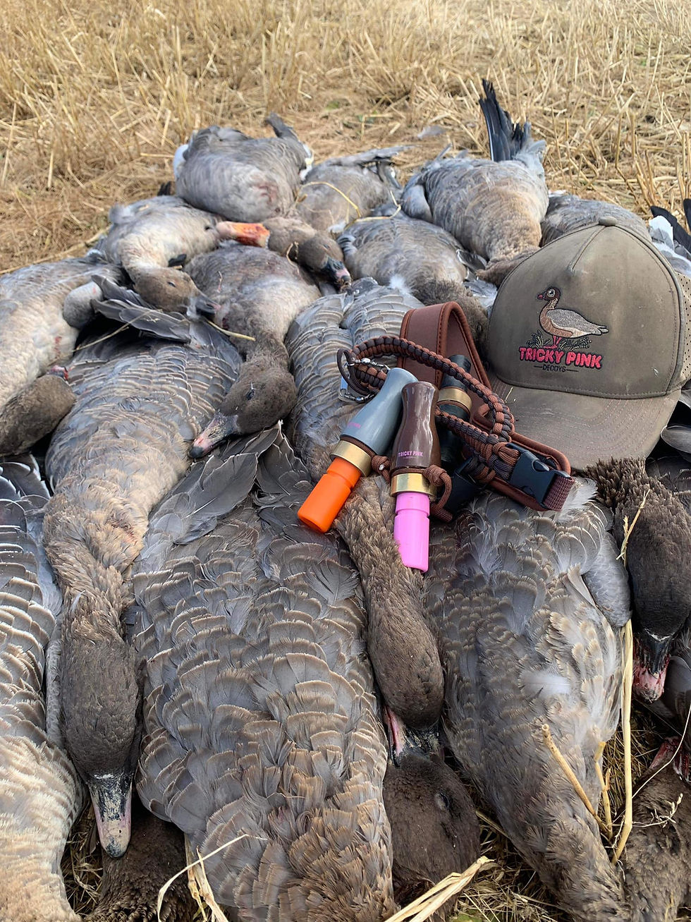 Thumbnail: Greylag goose Call (long reed)