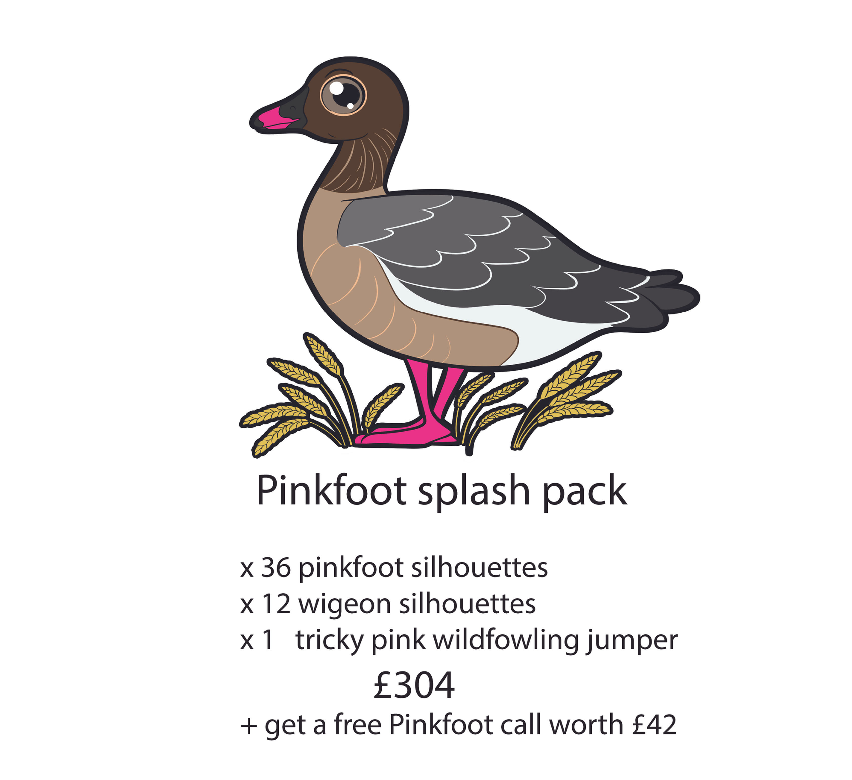 Pinkfoot splash starter pack