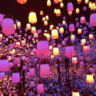 Multi lampes roses.jpg