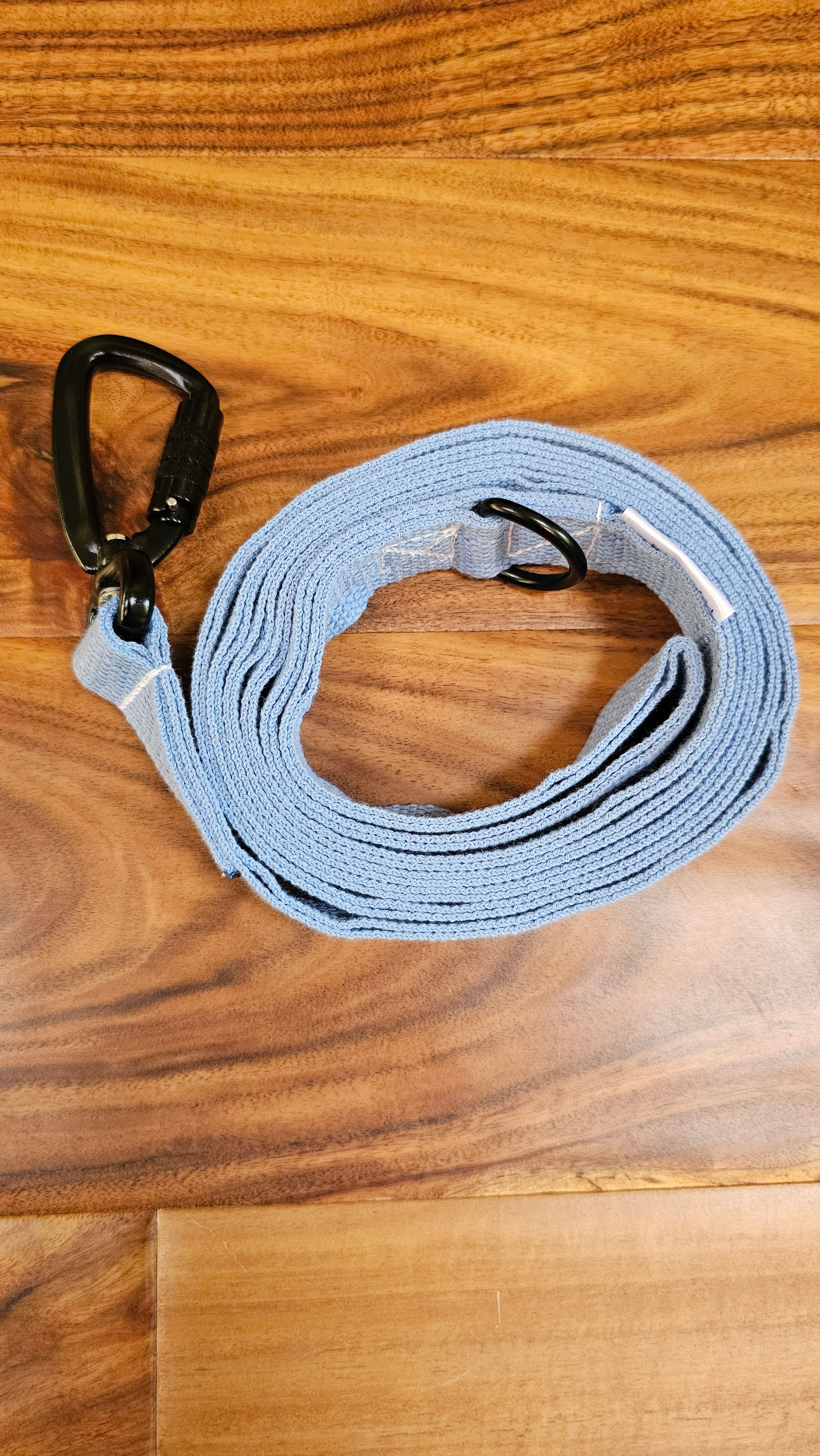 Sky Blue Dog Leash