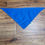 Thumbnail: Royal Blue Dog Bandana 