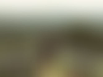 OVERCOME QUARTER-LIFE CRISIS NO MATTER WHAT!