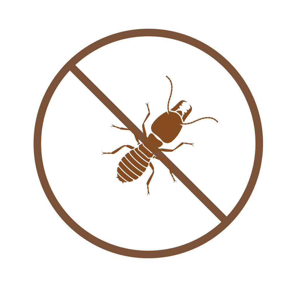 10.png