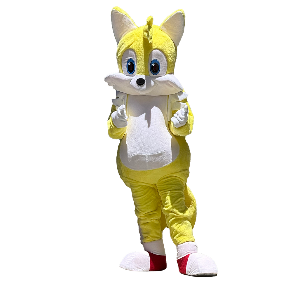 Tails is a quick and clever hero who adds energy, teamwork, and fun challenges to any party or interactive welcoming.