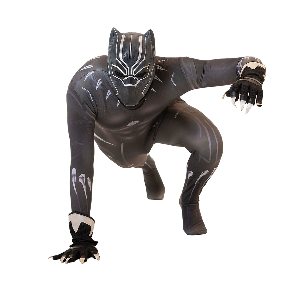 Agile warrior from Wakanda, Black Panther blends royal legacy with cutting-edge tech for heroic battles. Brave, kind and loves to play with kids.