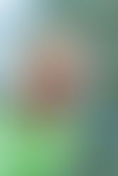 A Little Bit of Magic...