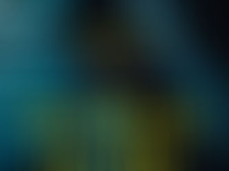 The Woman in the Window by A.J. Finn 4****